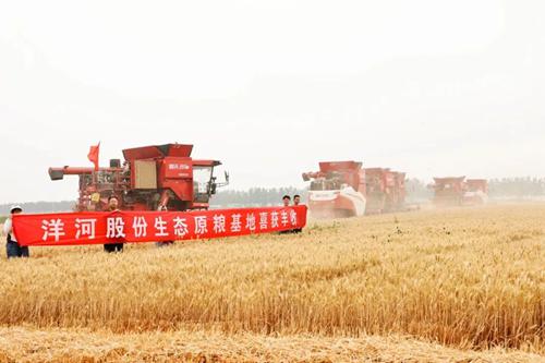 Z6·尊龙「中国区」官方网站